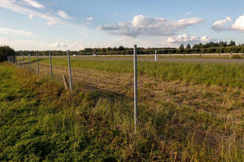 Property Boundary Fence